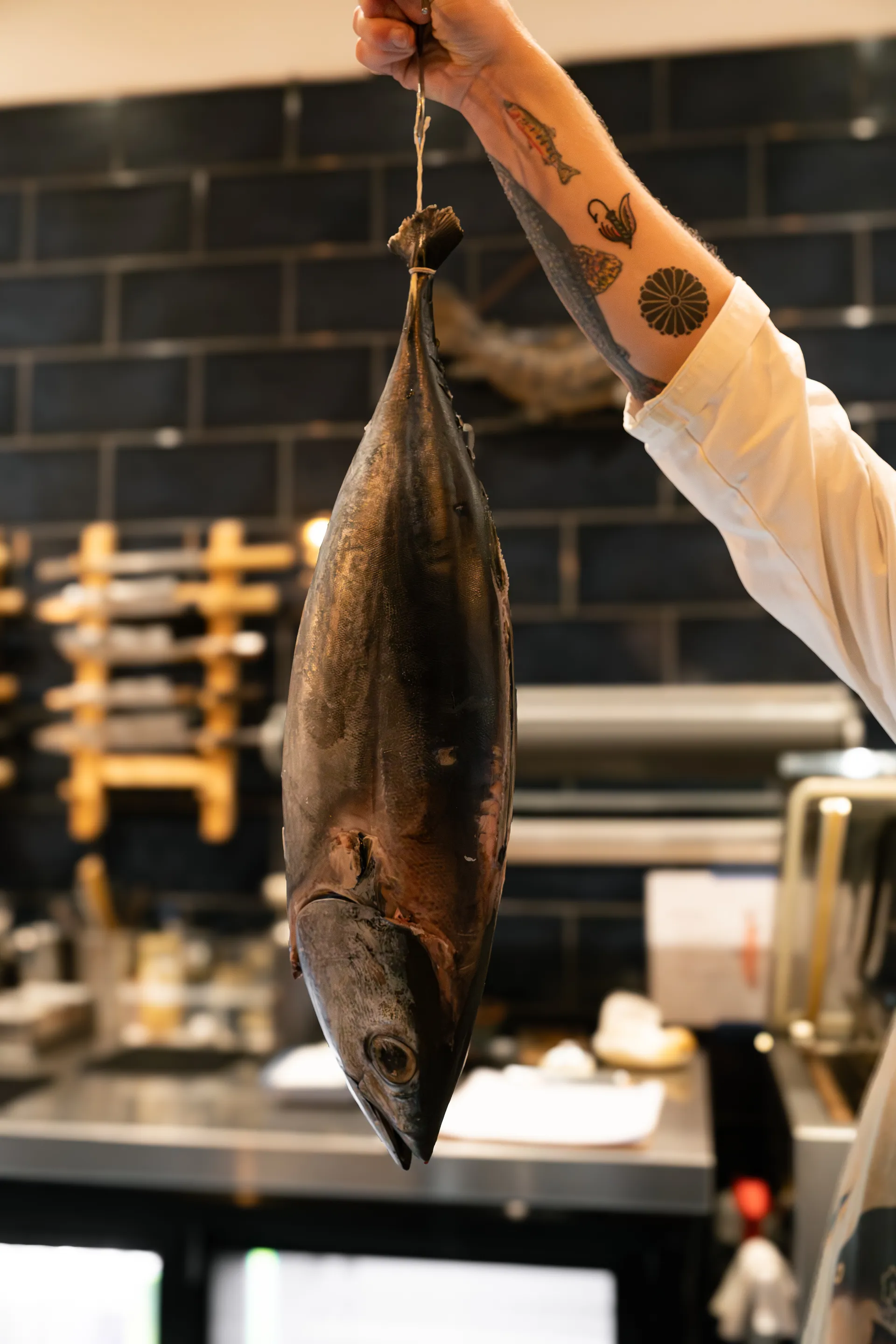 Affinity Fish — photograph 9 of 11